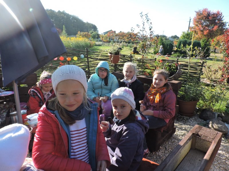 Święto pieczonego ziemniaka 2016